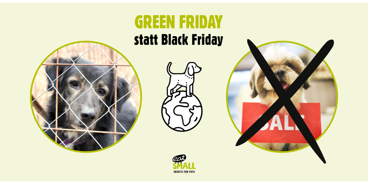 GREEN FRIDAY statt Black Friday