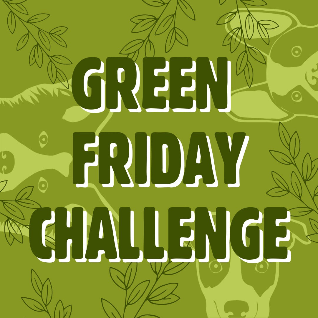 EAT SMALL'S GREEN FRIDAY - Hundefutter aus Insekten für Hunde in Not