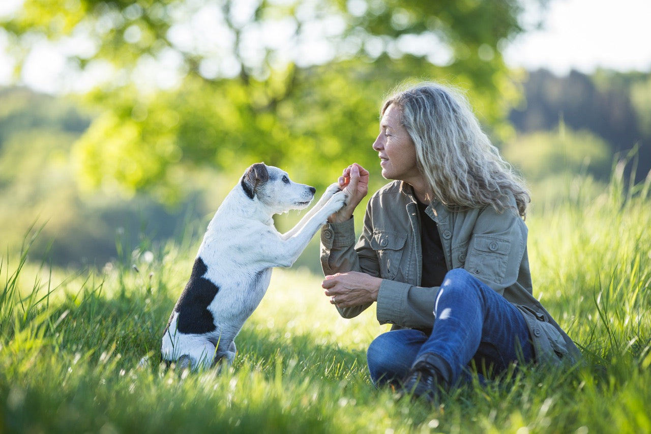 Clean Feeding mit Anke Jobi