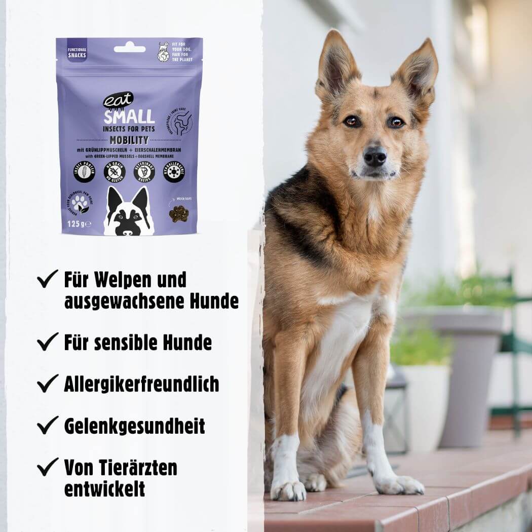 MOBILITY – MHD 5/2025 - Gelenk- und Knorpelpflege