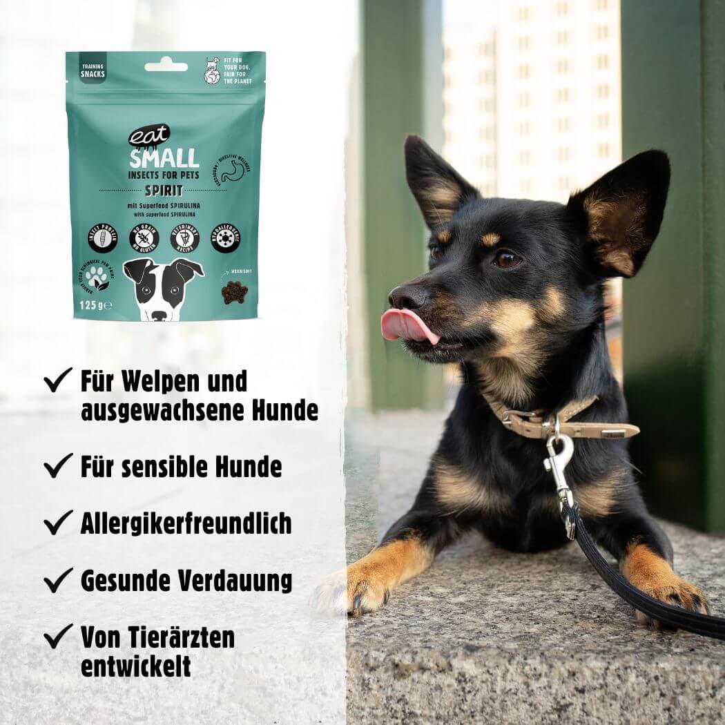 SPIRIT – MHD 04/2025 - Verdauungs-Wellness – Insekten und Spirulina