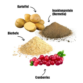 ENERGY – MHD 04/2025 - Körper regenerativ – Insektprotein und Cranberrys