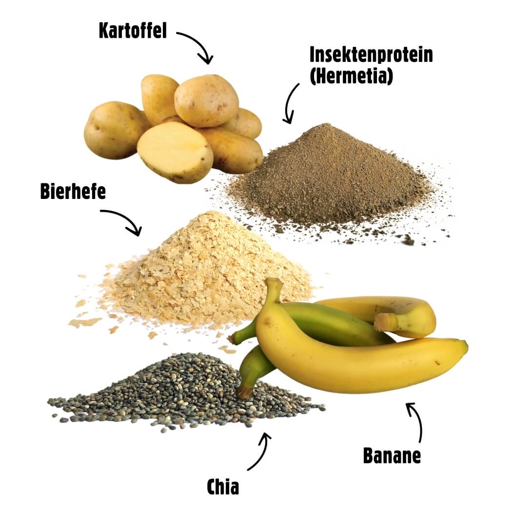 MINDFULNESS – MHD 04/2025 - Gehirnpflege – Insekten, Chia und Bananen