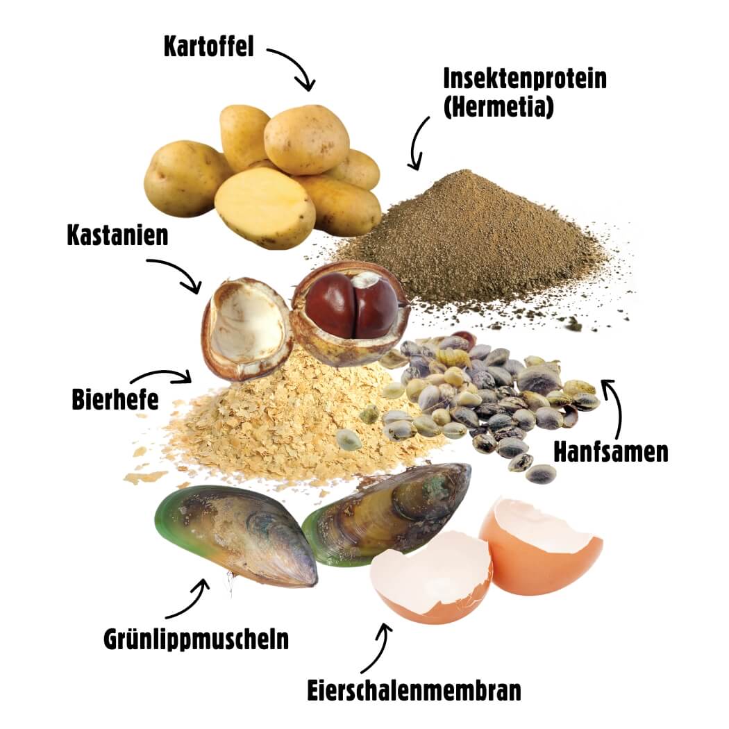 MOBILITY – MHD 5/2025 - Gelenk- und Knorpelpflege