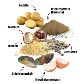 MOBILITY – MHD 5/2025 - Gelenk- und Knorpelpflege