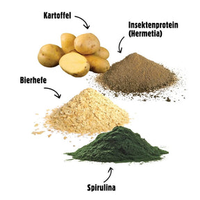 SPIRIT – MHD 04/2025 - Verdauungs-Wellness – Insekten und Spirulina