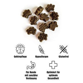 MINDFULNESS – MHD 04/2025 - Gehirnpflege – Insekten, Chia und Bananen
