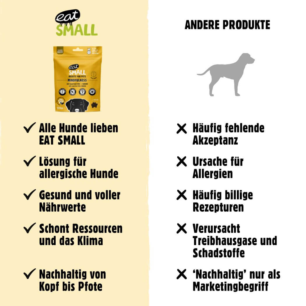 MINDFULNESS – MHD 04/2025 - Gehirnpflege – Insekten, Chia und Bananen