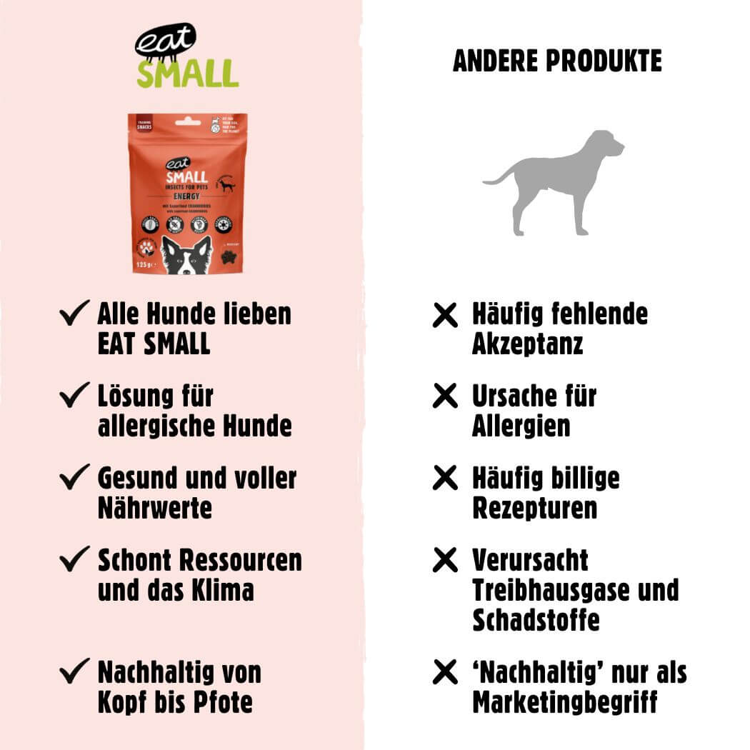 ENERGY – MHD 04/2025 - Körper regenerativ – Insektprotein und Cranberrys