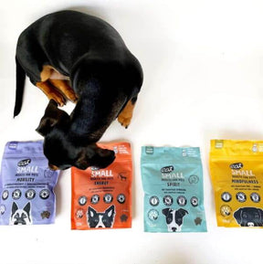 INSEKTENQUARTETT - MHD 05/2025 - Unsere vier Snacks im Probierpaket